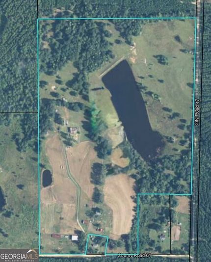 Timberland Property for sale in Ben Hill County, Georgia