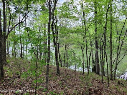 Farm and Ranch for sale in Tallapoosa County, Alabama