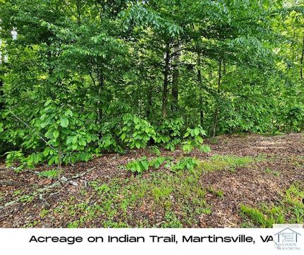 Timberland Property for sale in Martinsville City County, Virginia