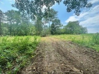 Timberland Property for sale in Sumner County, Tennessee