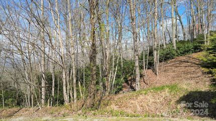 Farm and Ranch for sale in Henderson County, North Carolina
