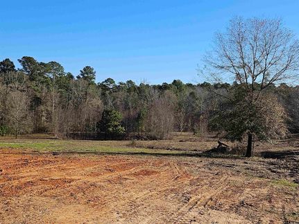 Recreational Property for sale in Smith County, Texas