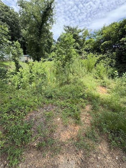 Land for sale in Bibb County, Georgia