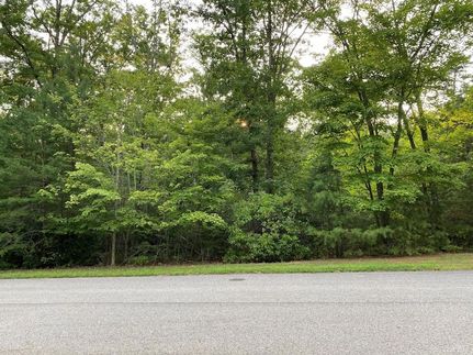 Timberland Property for sale in Pittsylvania County, Virginia