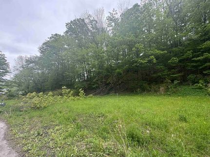 Timberland Property for sale in Washington County, Vermont