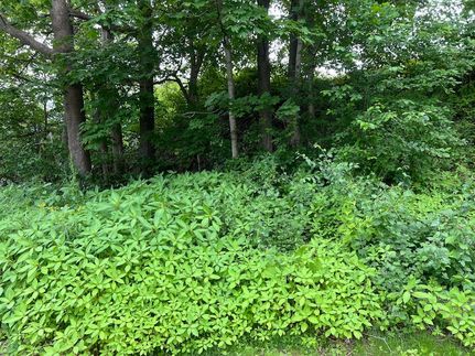 Undeveloped Land for sale in Knox County, Maine