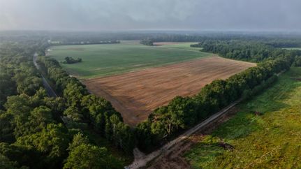 Farm and Ranch for sale in Bamberg County, South Carolina