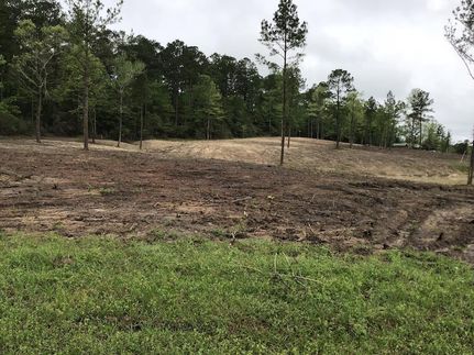 Recreational Property for sale in Newton County, Texas