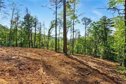 Recreational Property for sale in Pickens County, Georgia