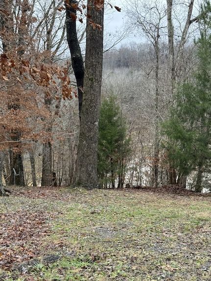 Undeveloped Land for sale in Trigg County, Kentucky