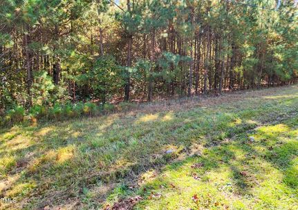 Undeveloped Land for sale in Harnett County, North Carolina