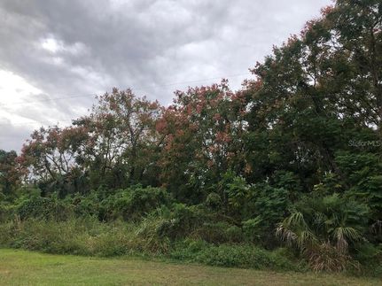 Farm and Ranch for sale in Seminole County, Florida