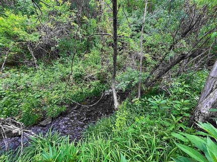 Timberland Property for sale in Wise County, Virginia