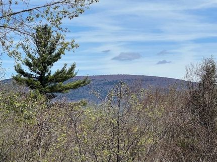 Undeveloped Land for sale in Bennington County, Vermont