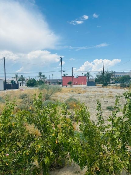 Farm and Ranch for sale in Riverside County, California