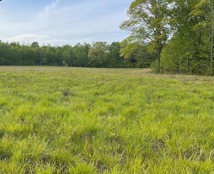 Recreational Property for sale in Carroll County, Tennessee