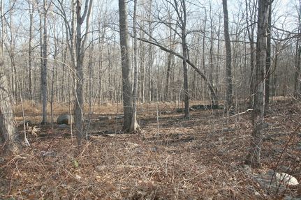 Undeveloped Land for sale in Tolland County, Connecticut