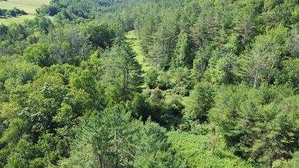 Undeveloped Land for sale in Bennington County, Vermont