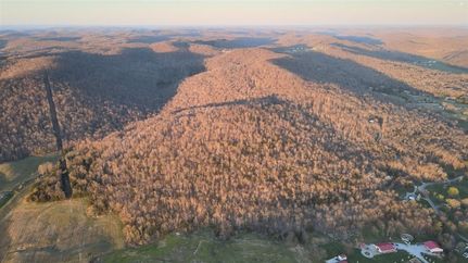Undeveloped Land for sale in Wayne County, Kentucky