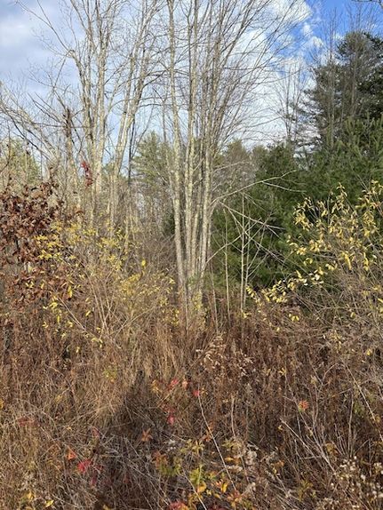 Undeveloped Land for sale in York County, Maine