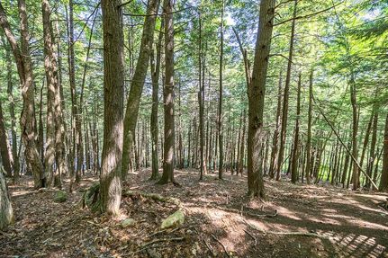Undeveloped Land for sale in Kennebec County, Maine