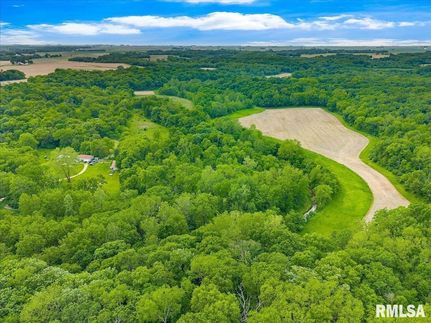 Undeveloped Land for sale in Marshall County, Illinois