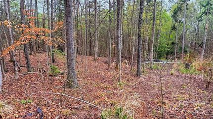 Recreational Property for sale in Catawba County, North Carolina