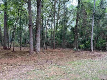 Timberland Property for sale in Camp County, Texas