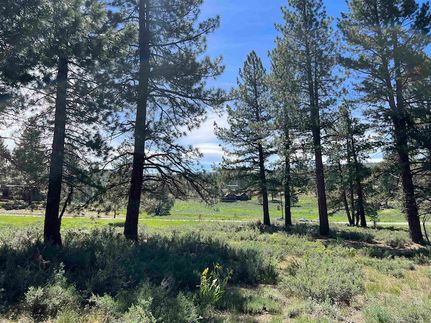 Farm and Ranch for sale in Nevada County, California