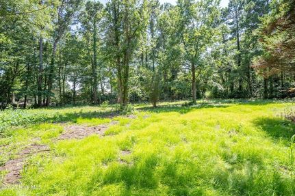 Timberland Property for sale in New Hanover County, North Carolina