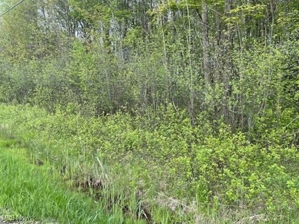 Timberland Property for sale in Lake County, Ohio