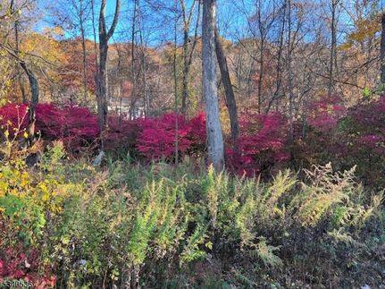 Recreational Property for sale in Morris County, New Jersey