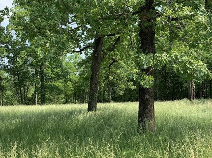 Timberland Property for sale in Davidson County, Tennessee