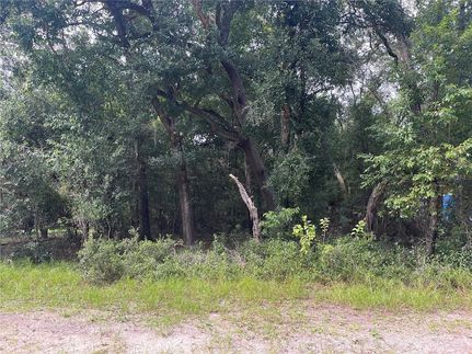 Farm and Ranch for sale in Lake County, Florida