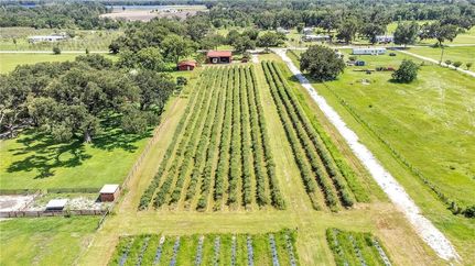 Farm and Ranch for sale in Polk County, Florida
