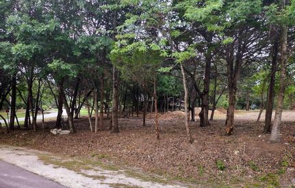 Farm and Ranch for sale in Ellis County, Texas