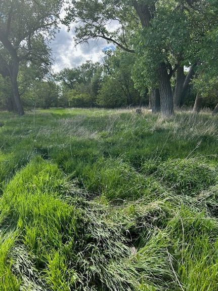 Recreational Property for sale in Lincoln County, Nebraska