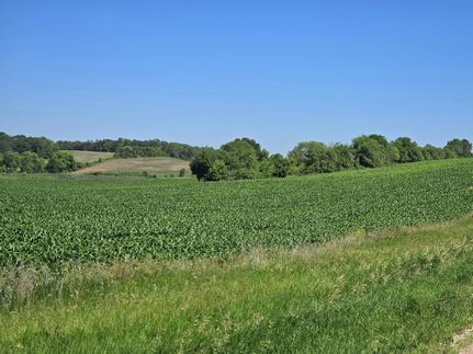 Horse Property for sale in Otter Tail County, Minnesota