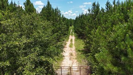 Farm and Ranch for sale in Worth County, Georgia