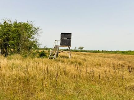 Farm and Ranch for sale in Lincoln County, Arkansas