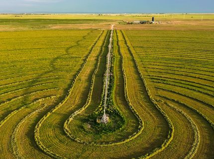 Farm and Ranch for sale in Torrance County, New Mexico