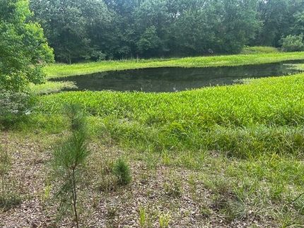 Farm and Ranch for sale in Grimes County, Texas