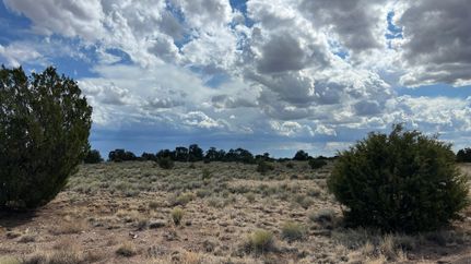 Undeveloped Land for sale in Catron County, New Mexico
