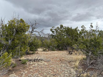 Farm and Ranch for sale in Cibola County, New Mexico