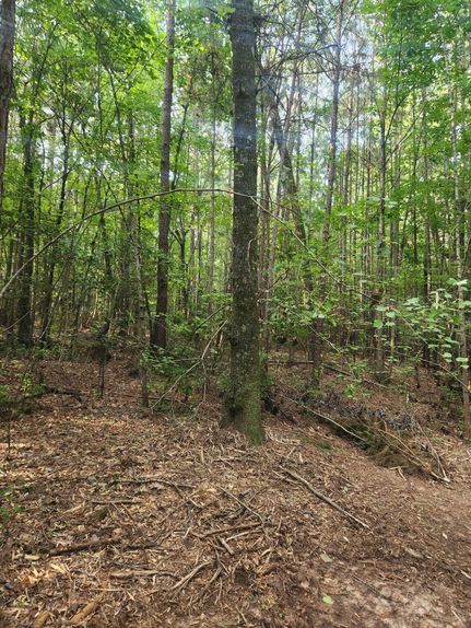 Land for sale in Monroe County, Georgia