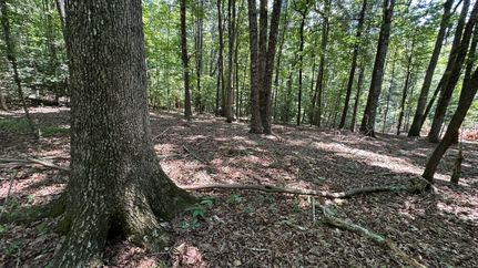Land for sale in Caldwell County, North Carolina