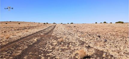 Timberland Property for sale in Apache County, Arizona