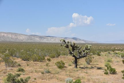 Farm and Ranch for sale in Kern County, California