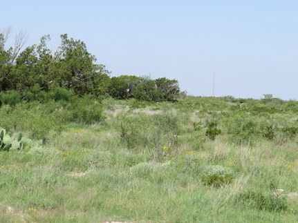 Recreational Property for sale in Terrell County, Texas