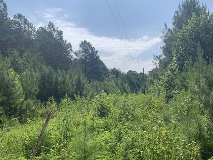 Undeveloped Land for sale in Polk County, Georgia